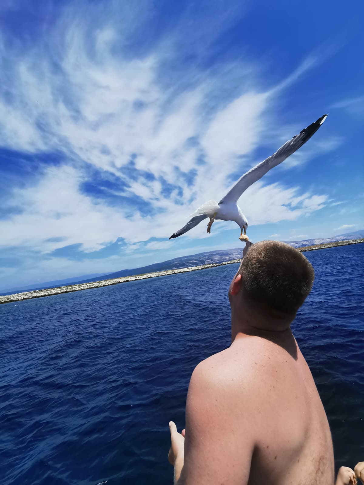 Möwen füttern auf Insel Galun